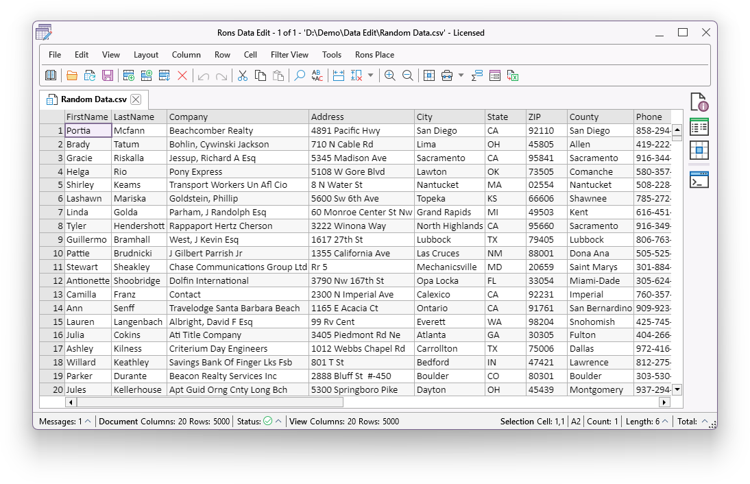 Rons Data Edit in action (light)